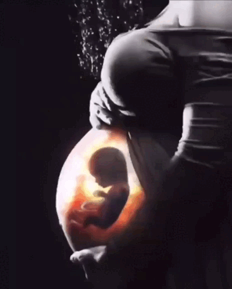 Первые шевеления плода при беременности