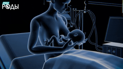 Первые часы после рождения